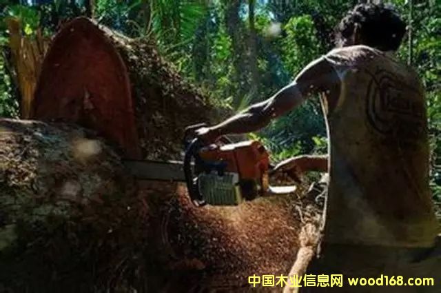 �D����������Ϣ���W(w��ng)2��8�Ո������ý�Q���Ї��¸��A�Ӳ����j���������������L�|�ρ���ϡľ�ĵķǷ��Q(m��o)���������l(f��)���ξo������Y�Y(ji��)�ǖ|�ρ����ҵ���Ȼ�YԴ���������޴�ı��������� �c(di��n)���ɷŴ�