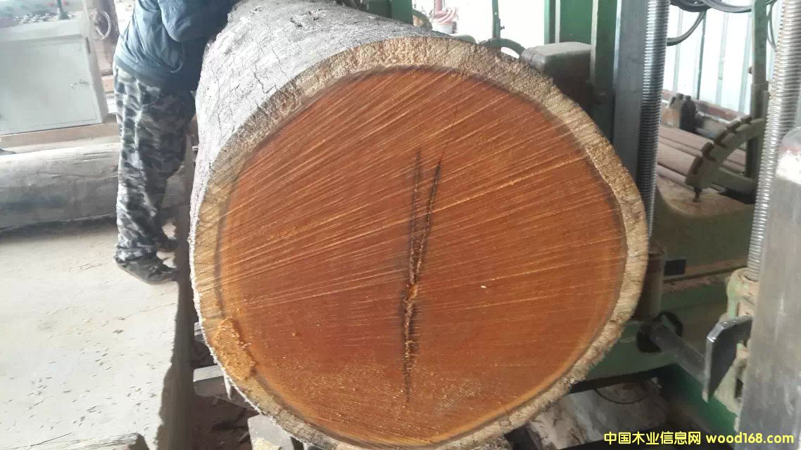 �D���Ϻ�����ľ�I(y��) �c(di��n)���ɷŴ�