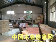 �D�����a(ch��n)���� �c���ɷŴ�