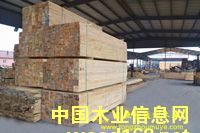 �D��ͨ�ވ@�^(q��)�ӹ� �c���ɷŴ�