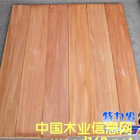 �D��2 �c���ɷŴ�