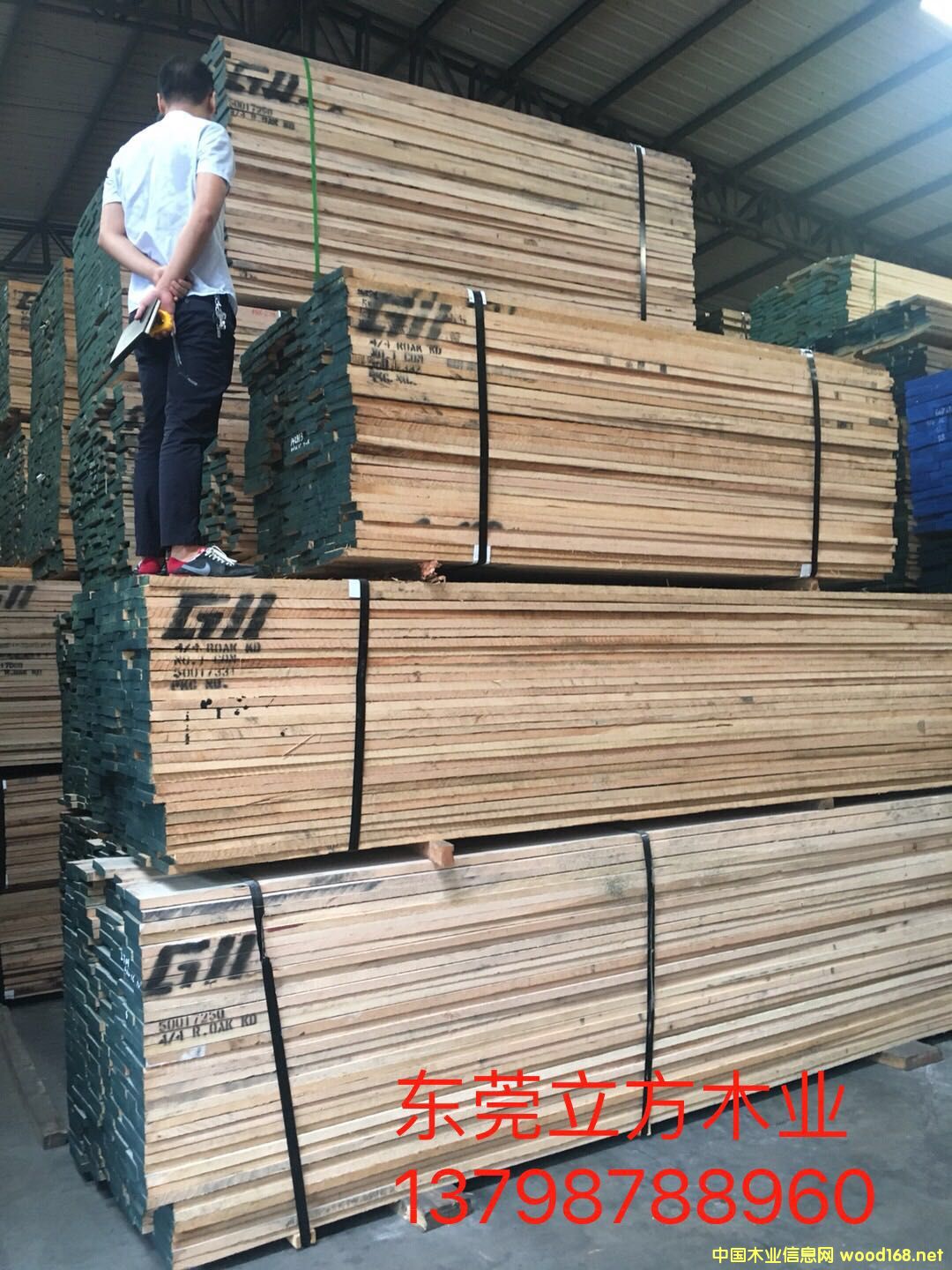 �D��ľ�� �c(di��n)���ɷŴ�