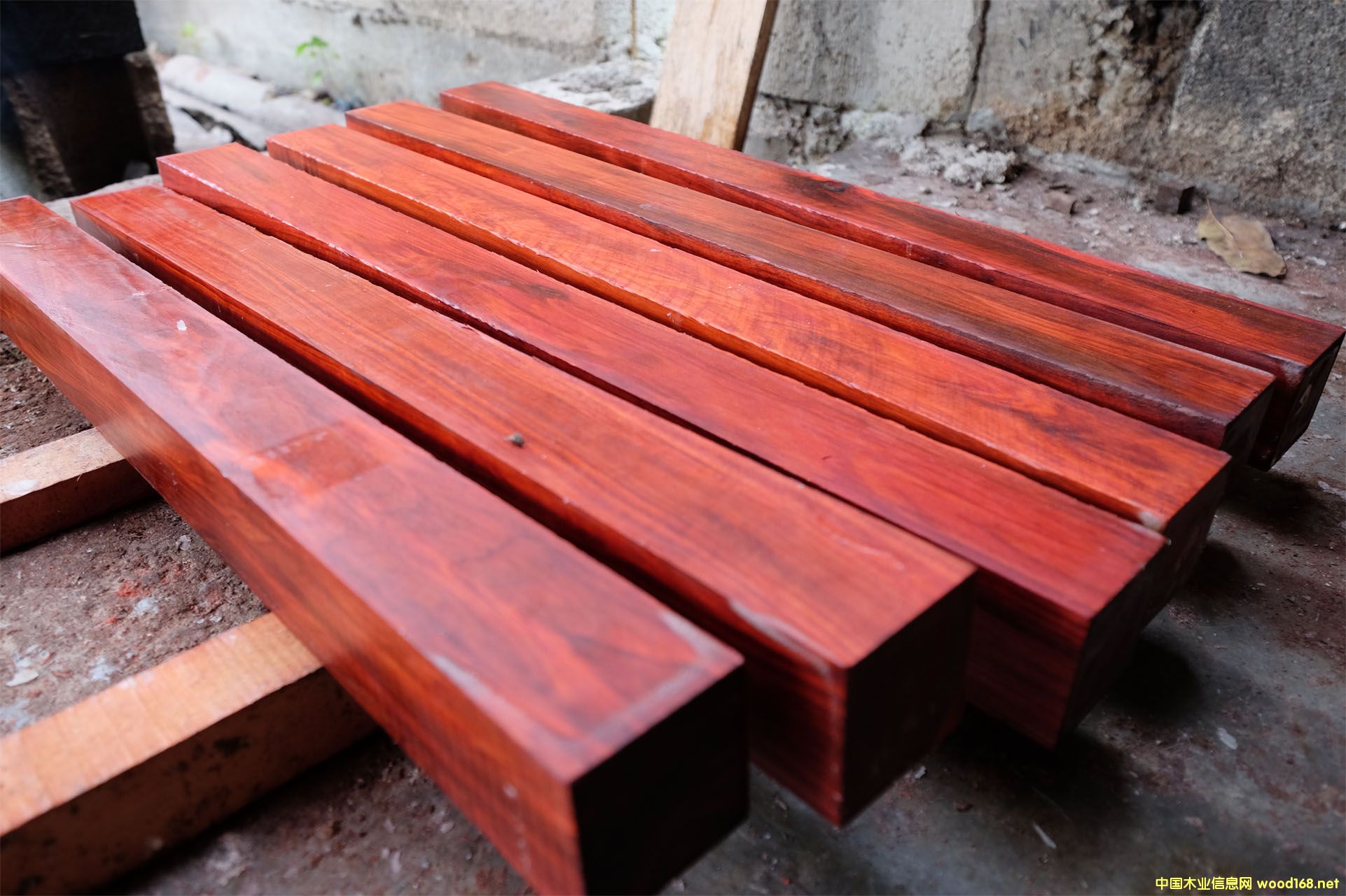 �D��ī����t��ľӆ����Ϟ?z��i)��K, �Ա�ɫ�� �c(di��n)���ɷŴ�