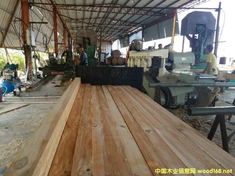 �D�����S �c(di��n)���ɷŴ�