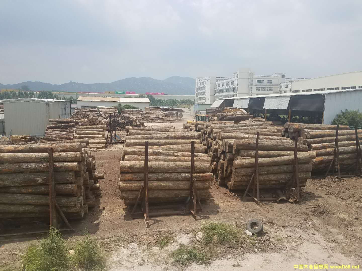 �D��ԭľ�ш�(ch��ng) �c(di��n)���ɷŴ�