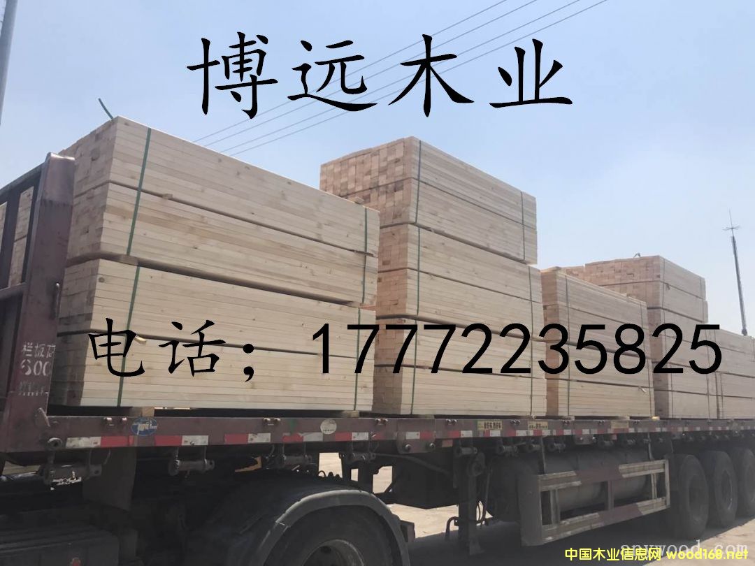 �D��112233 �c���ɷŴ�