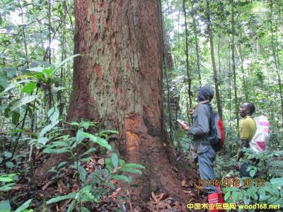 �D������������ֈ��֘I(y��)��У���ľ��(sh��)�� �c���ɷŴ�