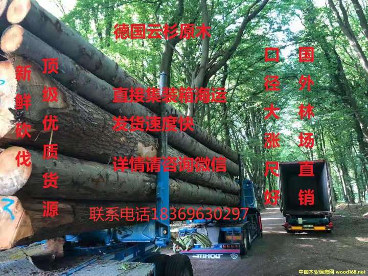 �D���V������ �c���ɷŴ�