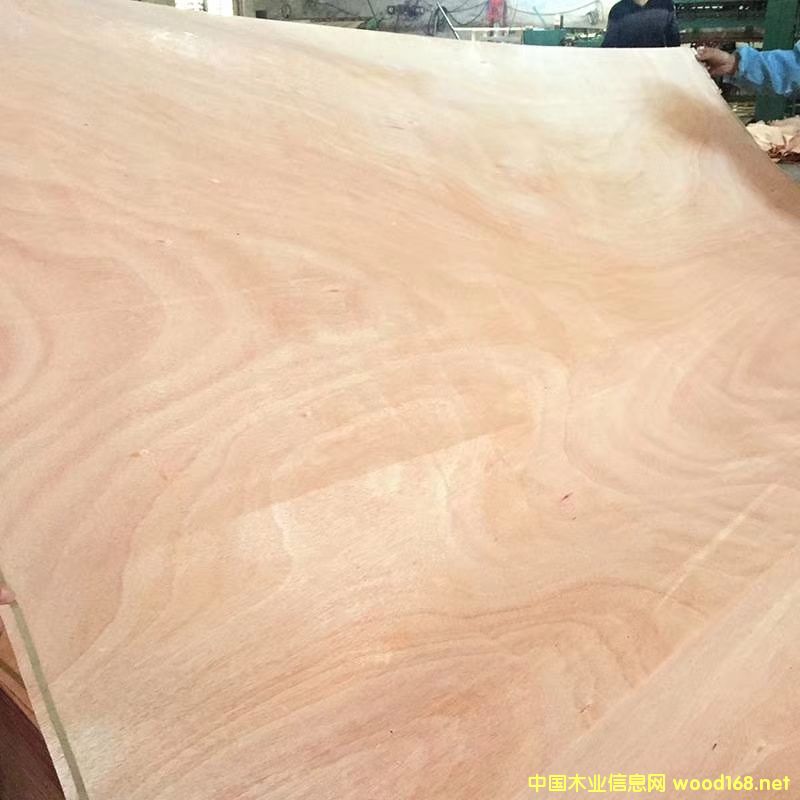 �D���һ�о��Ƥ �c���ɷŴ�