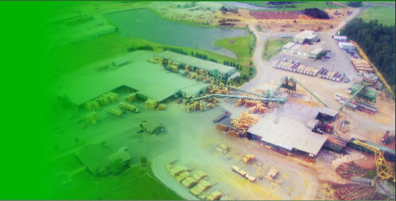 �D���������S�BD �c���ɷŴ�