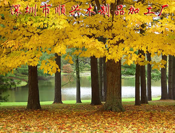 �D������(sh��)�� �c(di��n)���ɷŴ�