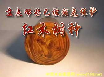 �P�c(di��n)��Щ�ѱ��lΣ���o(h��)�tľ��N