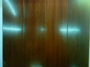 ��ľ����Ԕ��(x��)��B