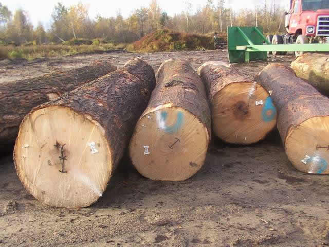 ����ԭľ--���ô��ľ��Ԕ��(x��)��B