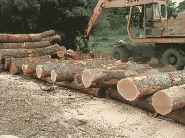 ����ԭľ--�t���ҵ�Ԕ��(x��)��B