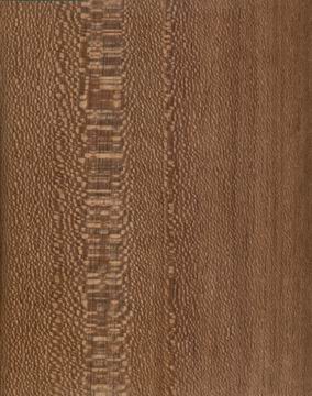 �Ҳ�����(y��ng)ľƤ��Ԕ��(x��)��B