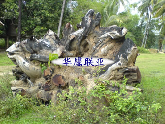 �ľ����Ԕ��(x��)��B