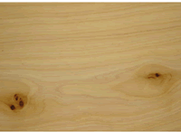 ���ľ��Ԕ����B