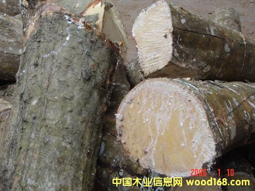 ̩�����zľ��Ԕ��(x��)��B