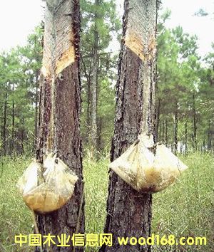 �ɘ��Ԕ��(x��)��B