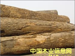 ���_˹ˮ������Ԕ��(x��)��B