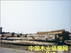 ������������Ԕ��(x��)��B