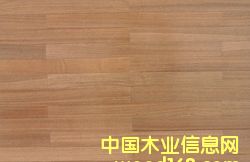 ��(sh��)ľ��(f��)�ϵذ��Ԕ��(x��)��B