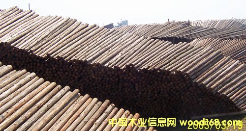 ����ľ�Sľ�ĵ�Ԕ��(x��)��B