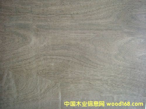 ���Ҙ�(sh��)Ƥ��Ԕ��(x��)��B