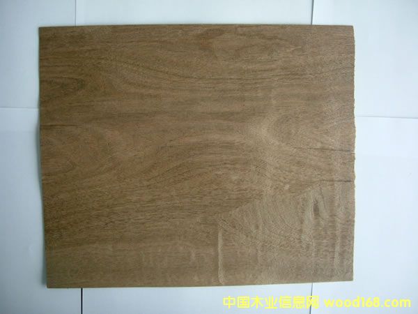 ���Ҙ�(sh��)Ƥ��Ԕ��(x��)��B