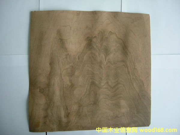 ���Ҙ�(sh��)Ƥ��Ԕ��(x��)��B