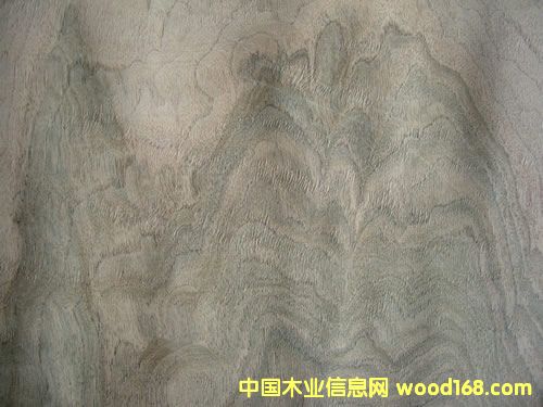 ���Ҙ�(sh��)Ƥ��Ԕ��(x��)��B