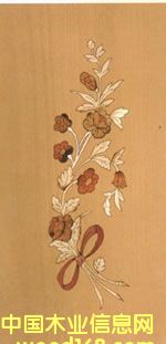 ľƤƴ����Ԕ��(x��)��B