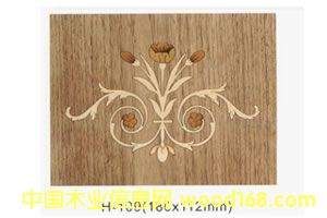 ƴ����Ԕ��(x��)��B