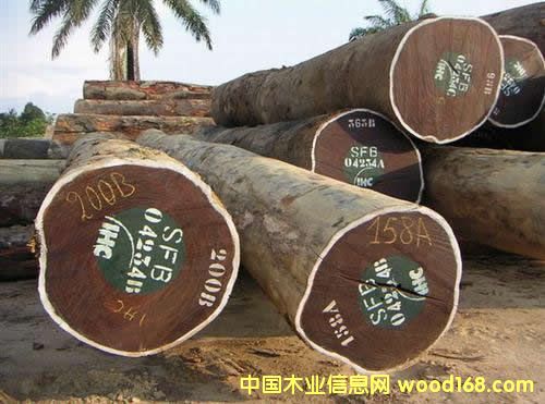 AFRORMOSIA �� �� �� ľ