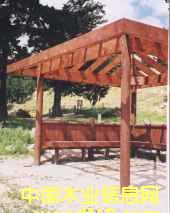 ���������������ľ-��ͤ