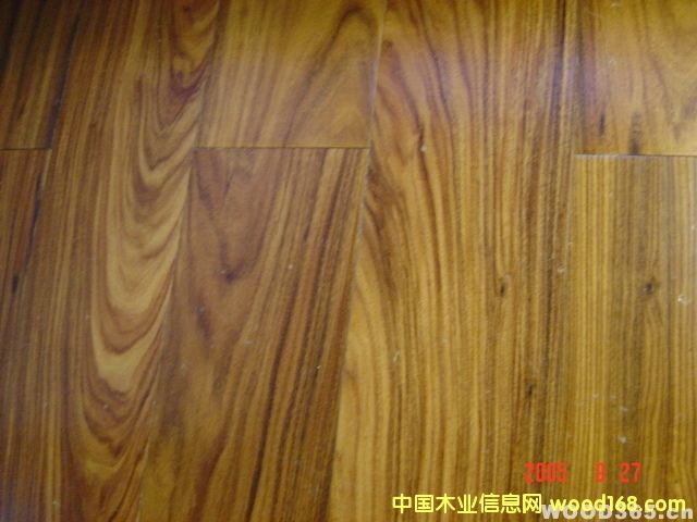 ��֦��Ԕ��(x��)��B