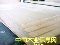 �h(hu��n)���ͼ���ľ�C�ƃ�(y��u)�����ɰ��Ԕ����B