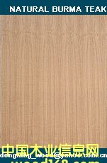 teak plywood��Ԕ����B