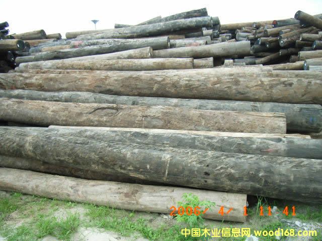 �Ĵ������t��ԭľ