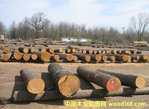 ԭľ��Ԕ����B