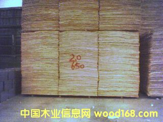 ��ͩ�а��Ԕ��(x��)��B