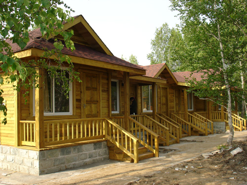 ����(y��ng)ľ�e����Ԕ��(x��)��B