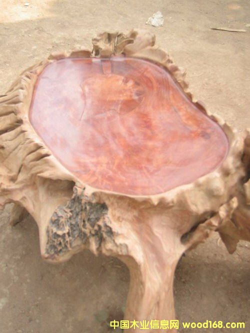 �tľ���(5)��Ԕ����B