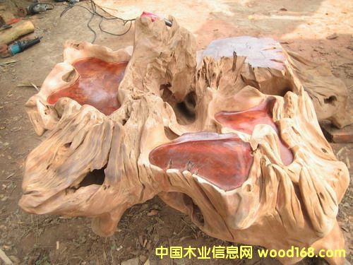 �tľ�����ף���կ��