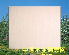 ͩľ�Ҿ� ���Ԕ����B