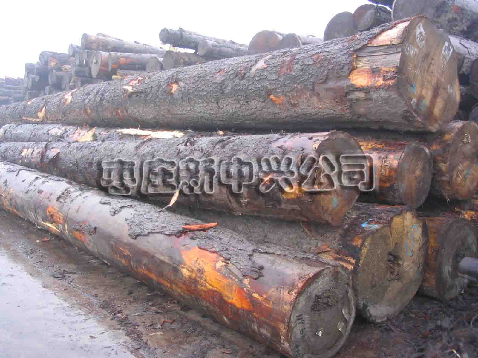 ��ɼ��Ԕ����B