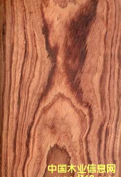 �ϼtľ(�b塢��Ƭ��