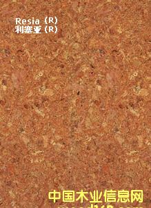 ������ܛľճ�N�ذ��Ԕ��(x��)��B