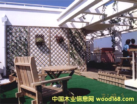 ����ľ��Ԕ����B